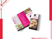 Brochure Pet Shop