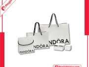 Túi Giấy Pandora