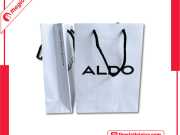 Túi Giấy Aldo