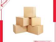 Hộp Giấy Carton