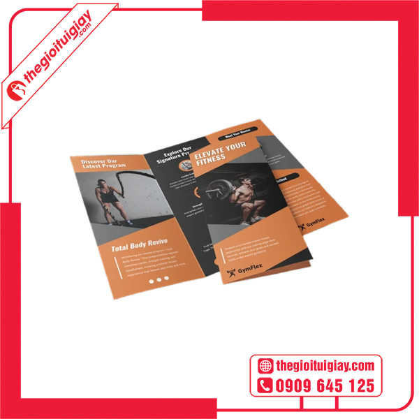 Mẫu brochure gym sang trọng