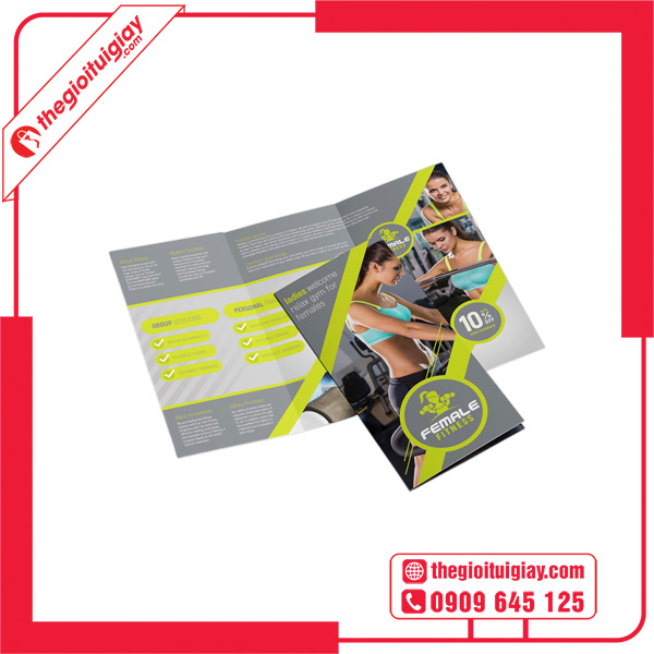 Mẫu brochure gym sáng tạo