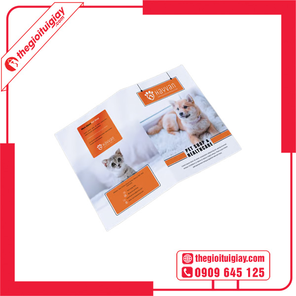 Mẫu brochure pet shop HAYVAN