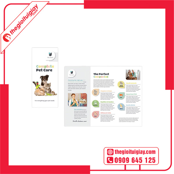 Mẫu brochure pet shop đơn giản