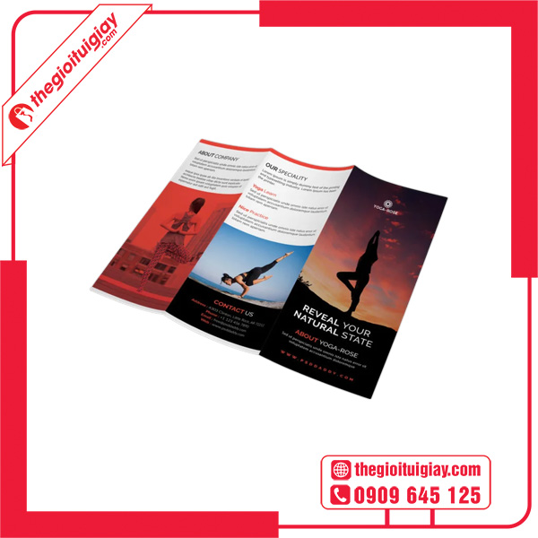 Mẫu brochure yoga năng động