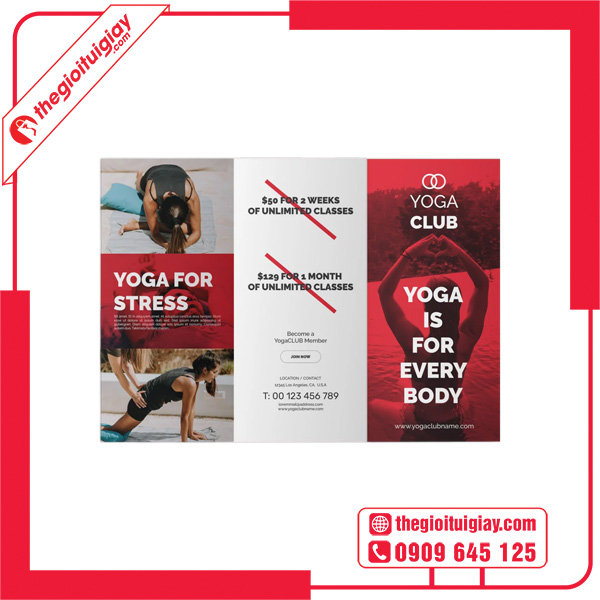 Mẫu brochure yoga ấn tượng