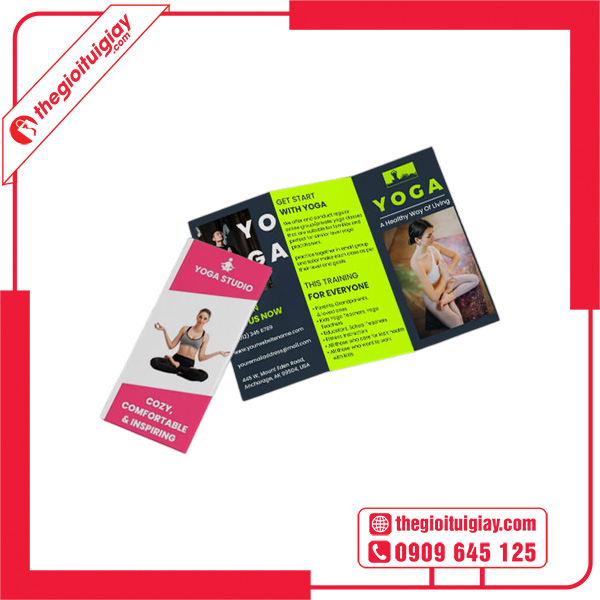 Mẫu brochure yoga thu hút