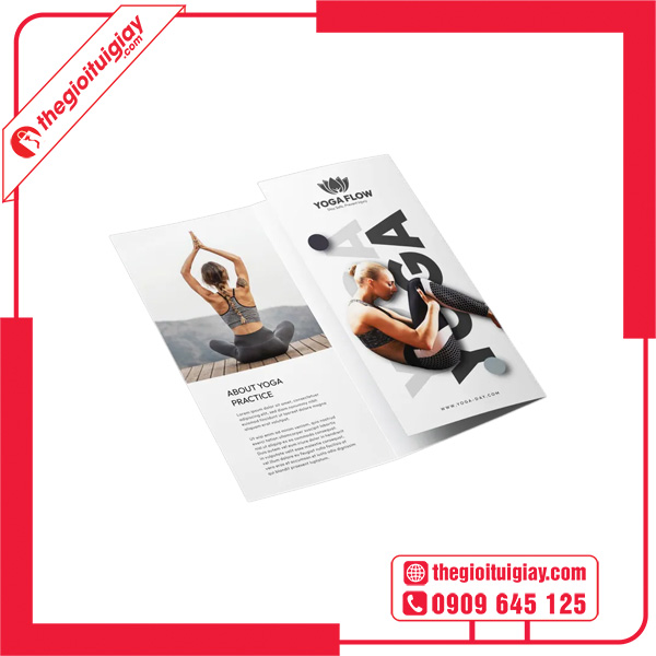 Mẫu brochure yoga màu sắc đơn giản