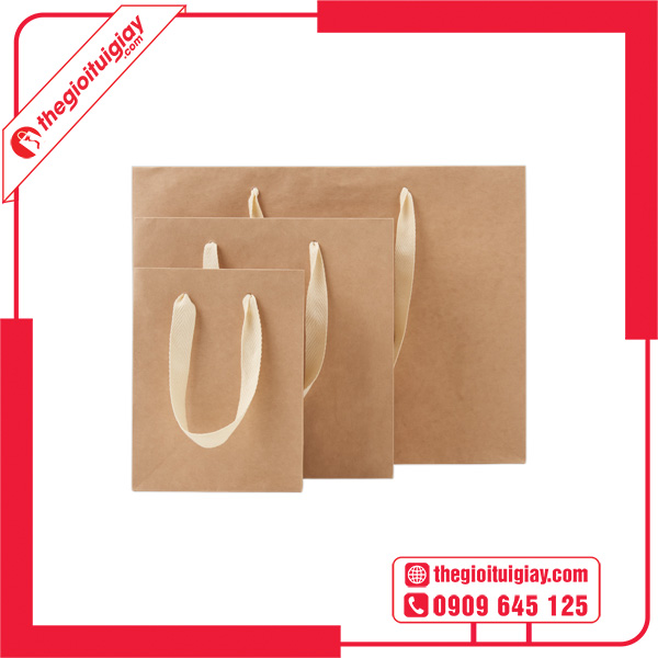 Mẫu túi giấy bìa cứng đa dạng kích thước