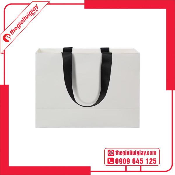 Mẫu túi giấy bìa cứng giấy couche