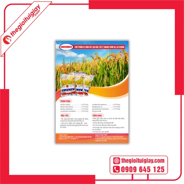Tờ Rơi Nông Nghiệp Cung Cấp Lúa Gạo