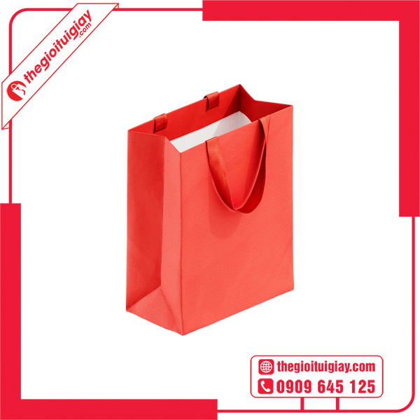 Mẫu túi giấy dây ruy băng đơn giản