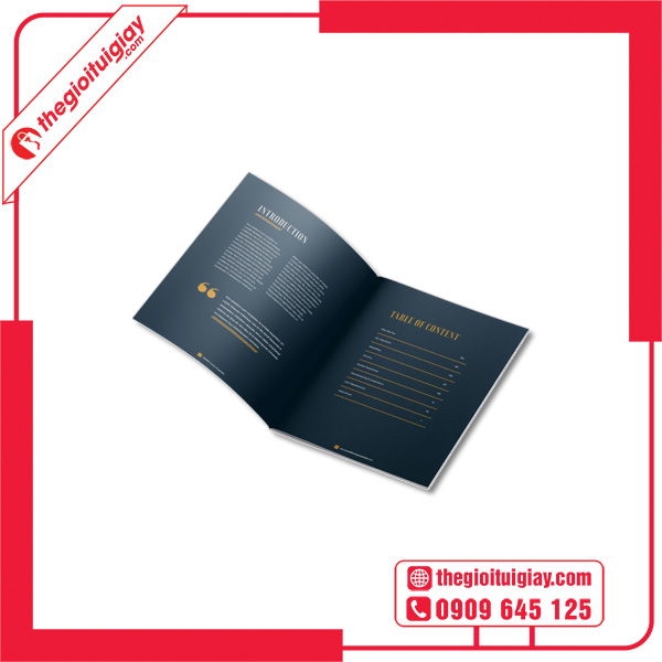Mẫu catalogue luxury sáng tạo
