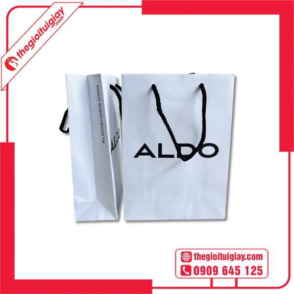 Túi Giấy Aldo