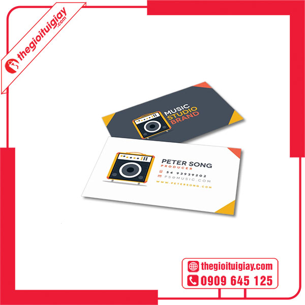 Mẫu card visit camera PETER SONG