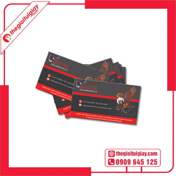 Mẫu card visit camera EAGLE EYE