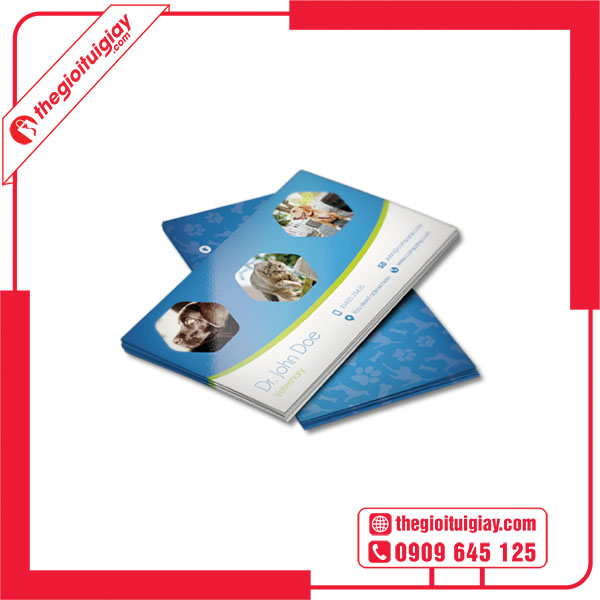 Mẫu card visit thú y Dr John Doe