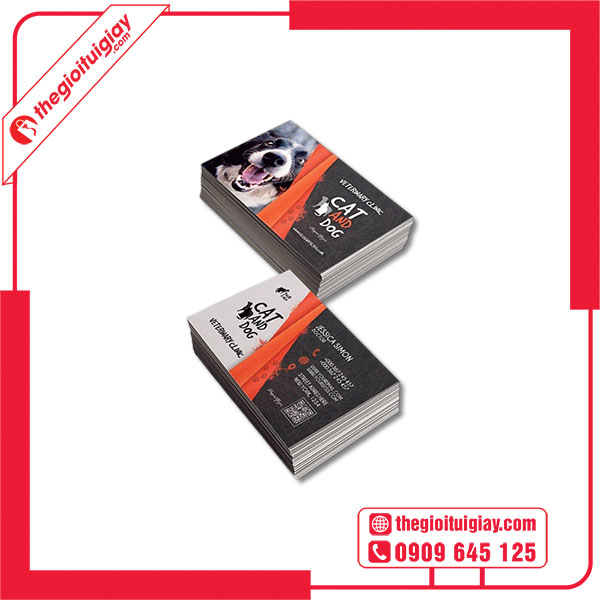 Mẫu card visit thú y ấn tượng