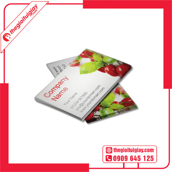 Mẫu card visit trái cây ấn tượng