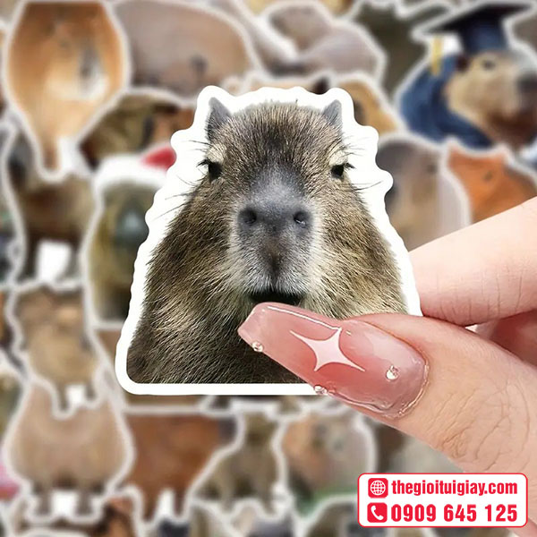Mẫu sticker capybara mặt ngáo