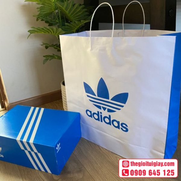 tui-giay-adidas-1