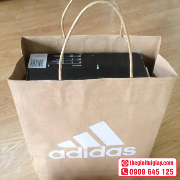 tui-giay-adidas-10