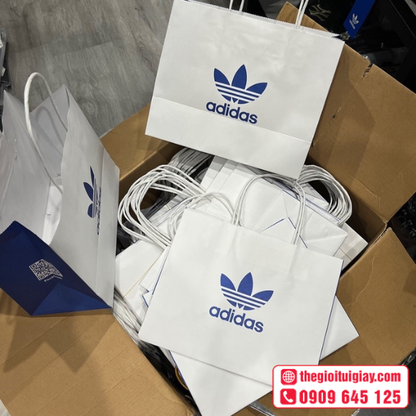 tui-giay-adidas-13