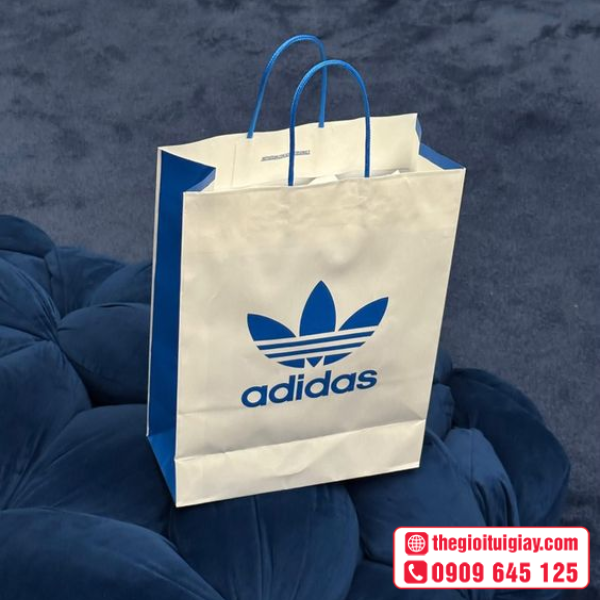 tui-giay-adidas-2