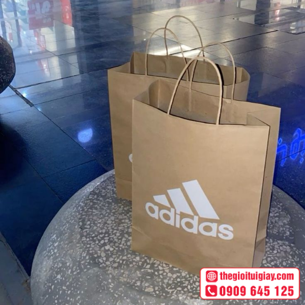 tui-giay-adidas-3