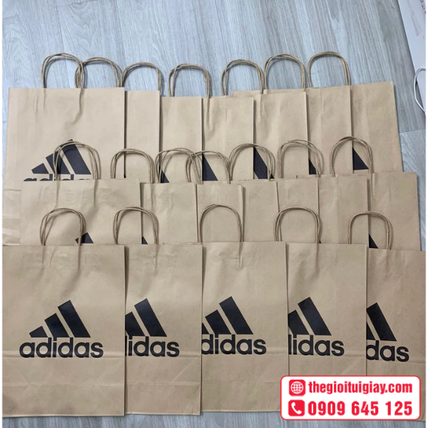tui-giay-adidas-4