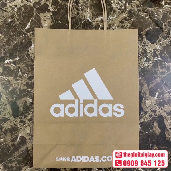 tui-giay-adidas-5
