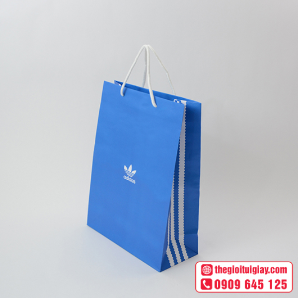 tui-giay-adidas-6