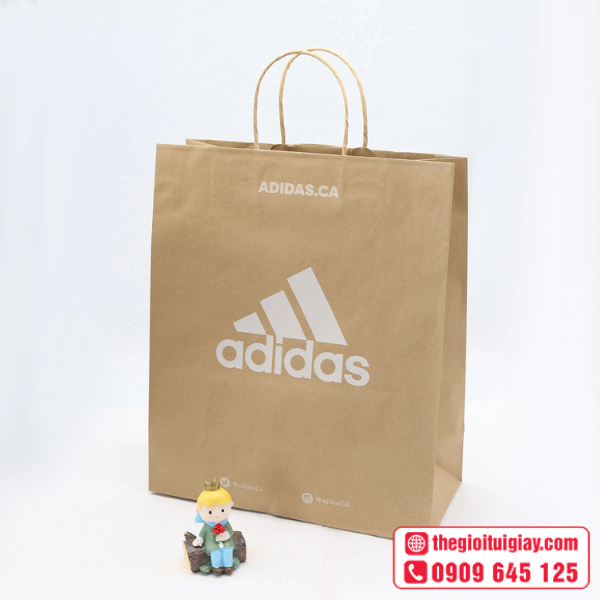 tui-giay-adidas-7
