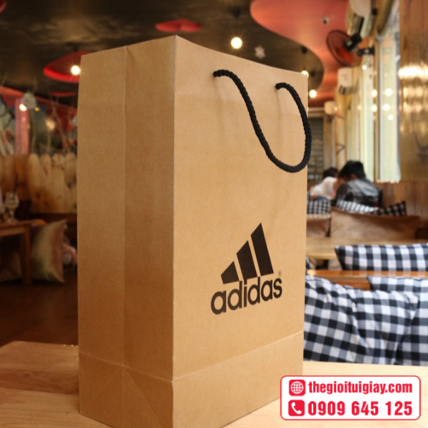 tui-giay-adidas-9
