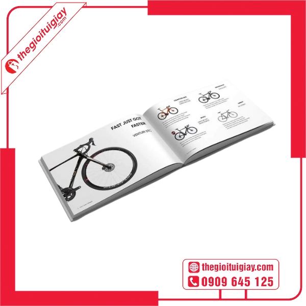  Mẫu catalogue xe đạp nữ phong cách thời trang 