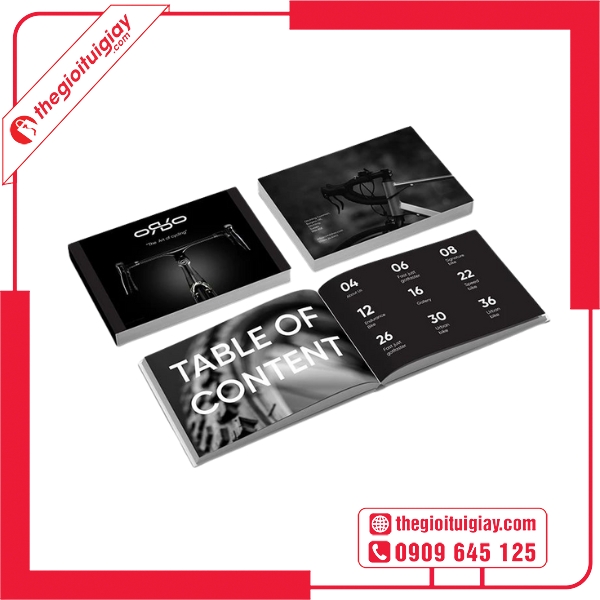  Mẫu cẫu catalogue xe đạp đường phố đẹp hiện đại 