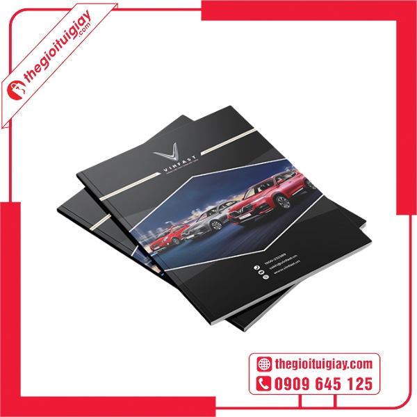 Catalogue Xe Điện