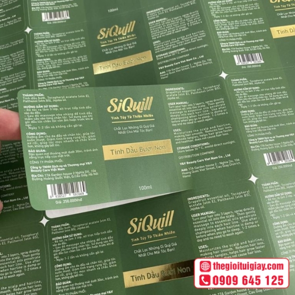 Mẫu tem nhãn tinh dầu in cán mờ sang trọng