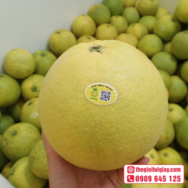 Mẫu tem trái cây in QR code truy xuất nguồn gốc