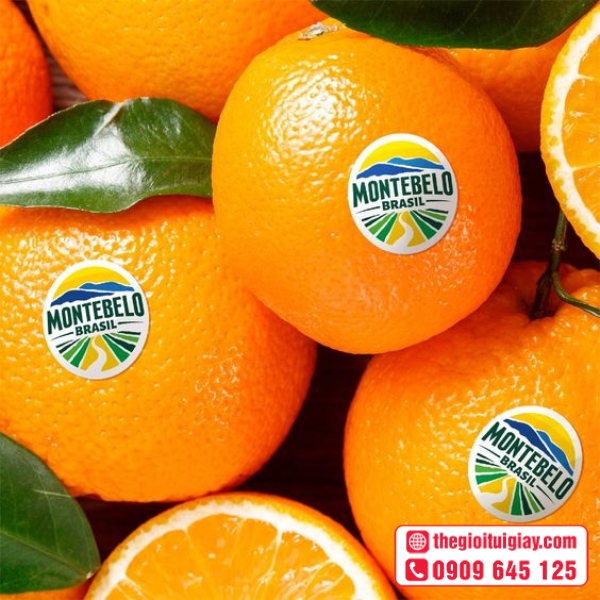 Mẫu tem trái cây đẹp cho siêu thị và cửa hàng