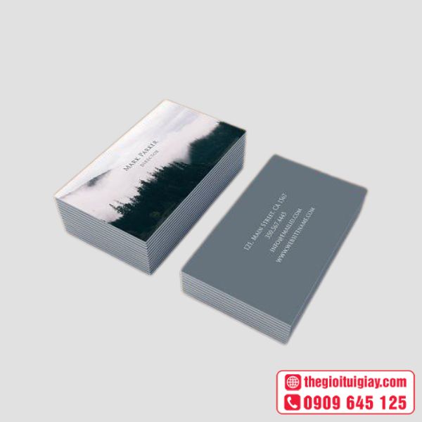 Name Card Du Lịch Đơn Giản