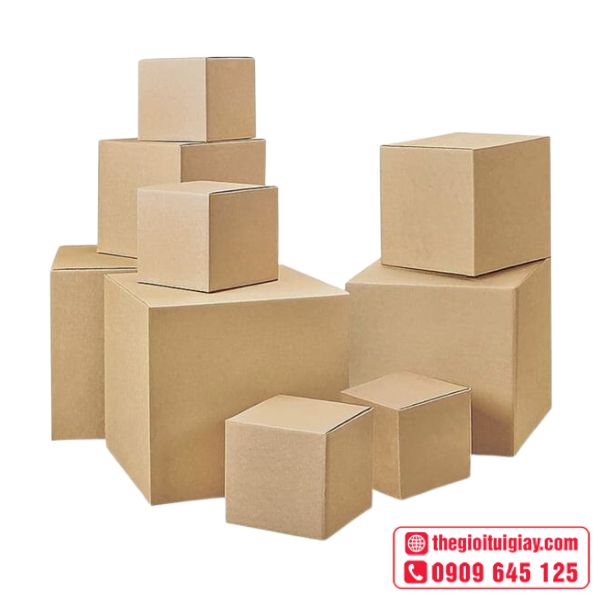 Hộp giấy carton dọn trọ