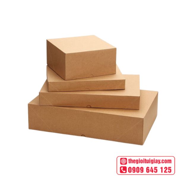 hộp giấy carton đựng đồ