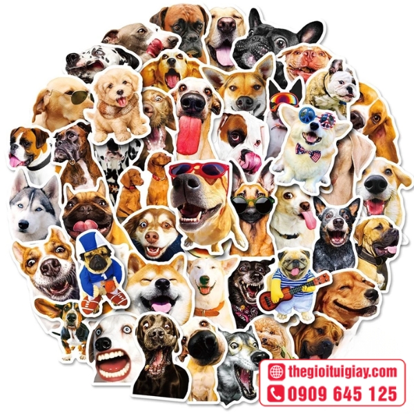  Mẫu sticker con ch&oacute; h&igrave;nh ch&oacute; Pug 