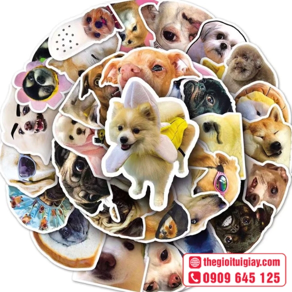 Mẫu Sticker con ch&oacute; h&igrave;nh ch&oacute; Poodle